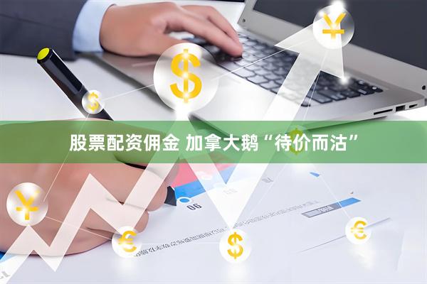 股票配资佣金 加拿大鹅“待价而沽”