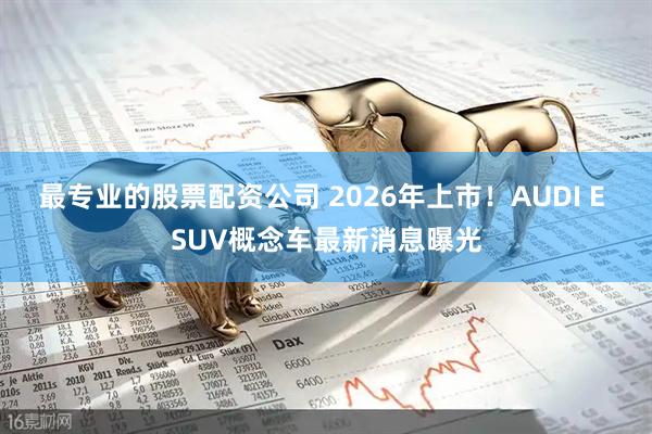 最专业的股票配资公司 2026年上市!AUDI E SUV概念车最新消息曝光