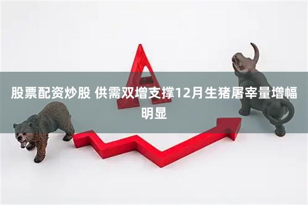 股票配资炒股 供需双增支撑12月生猪屠宰量增幅明显