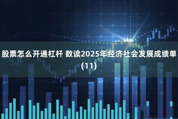 股票怎么开通杠杆 数读2025年经济社会发展成绩单(11)