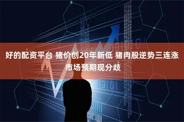好的配资平台 猪价创20年新低 猪肉股逆势三连涨 市场预期现分歧